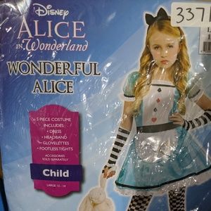 Alice in Wonderland Costume